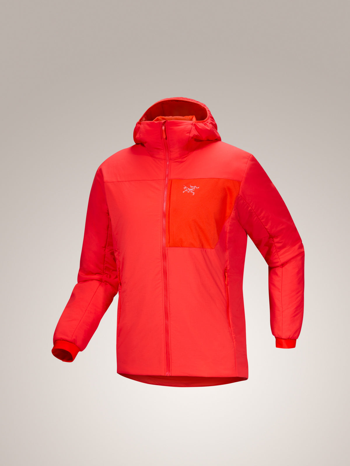 Proton Hoody Men's