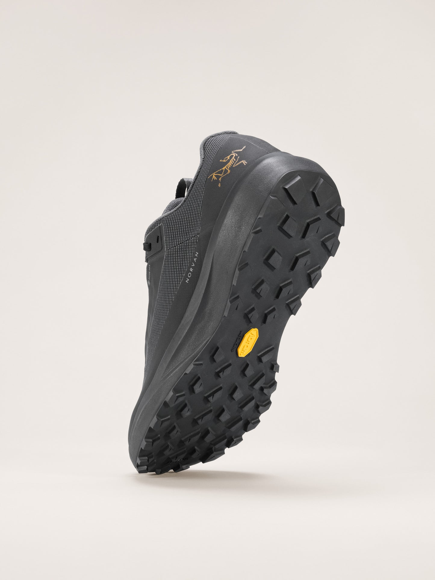 Norvan LD 4 GTX Shoe Men's