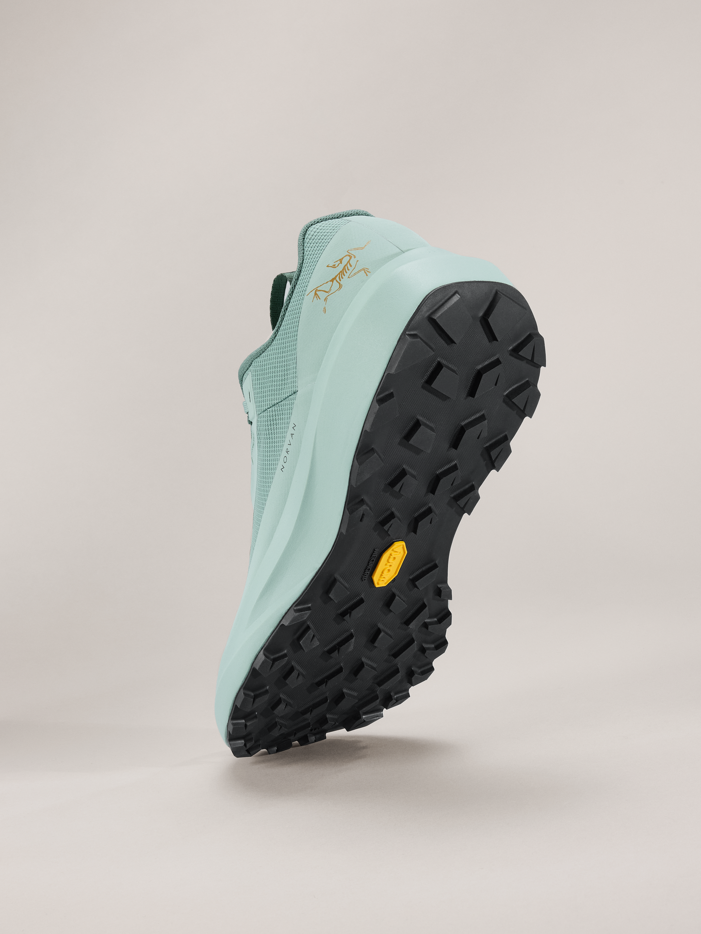 Norvan LD 4 GTX Shoe Men's