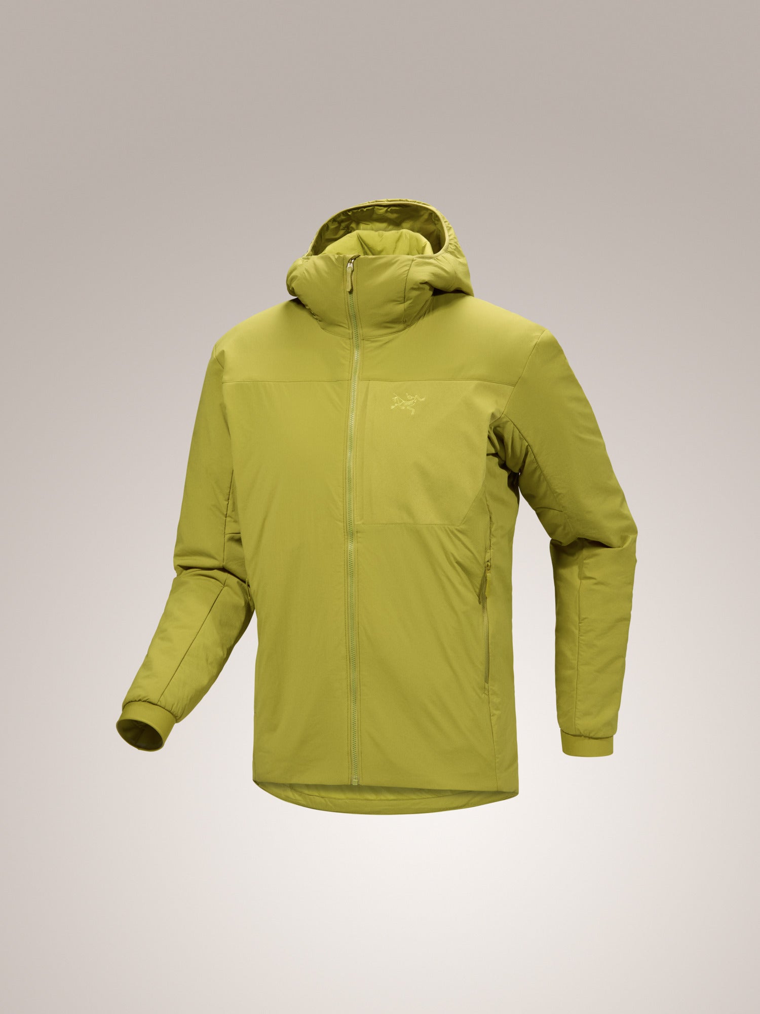 Proton Hoody Men's