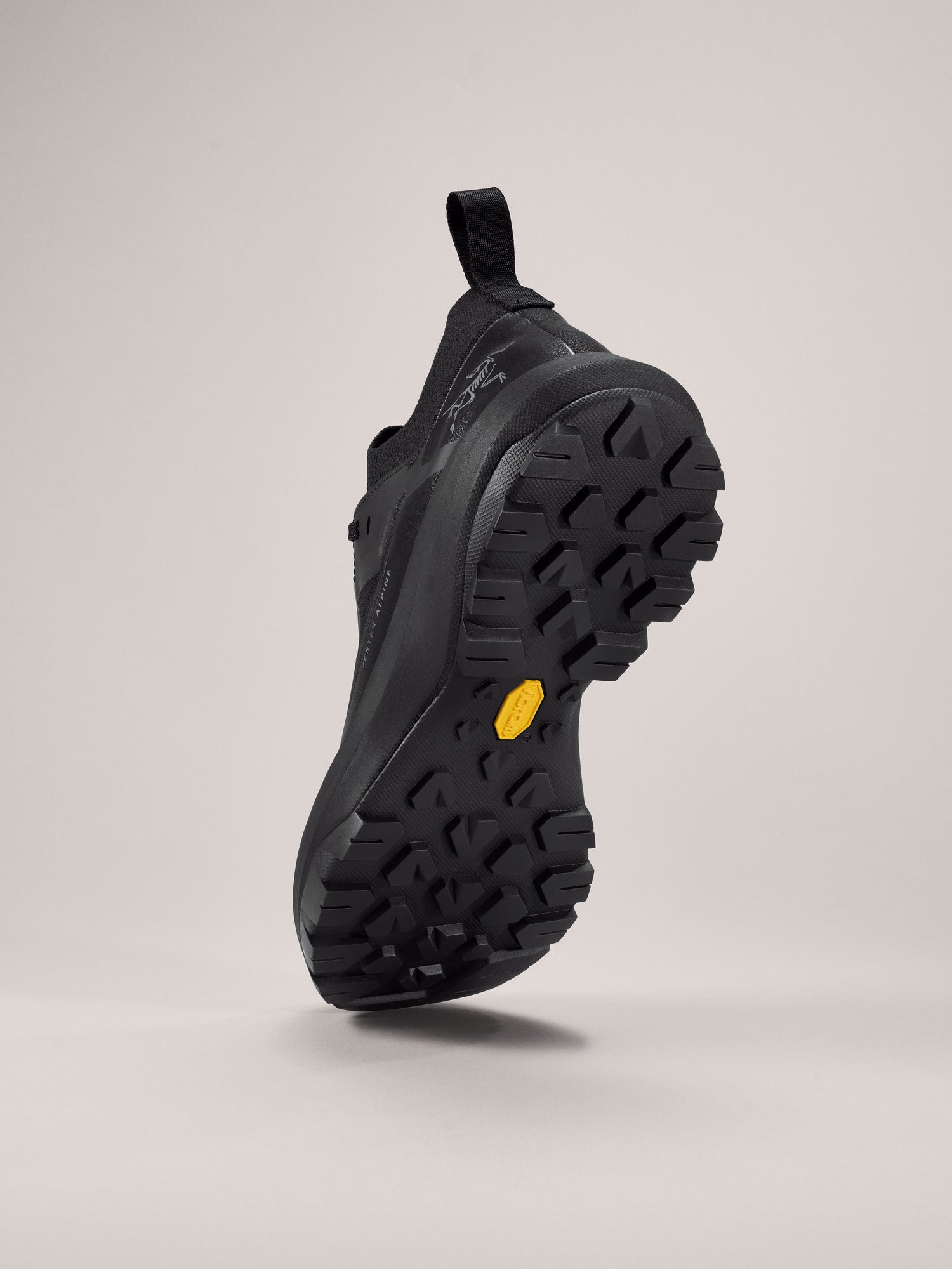 Vertex Alpine Shoe Men's