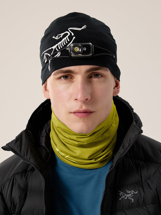 Satoro Merino Neck Gaiter