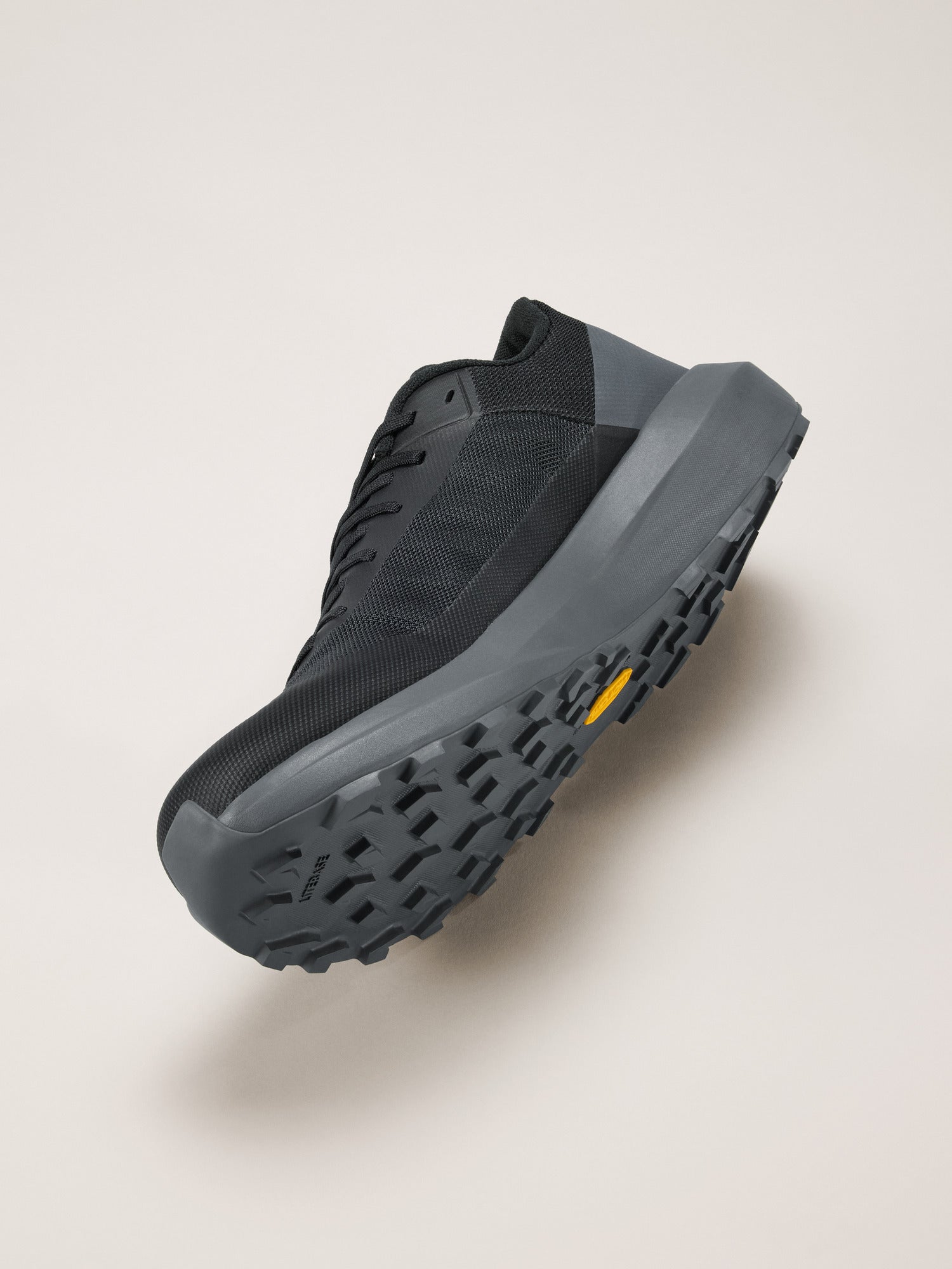 Norvan LD 4 Shoe Men's