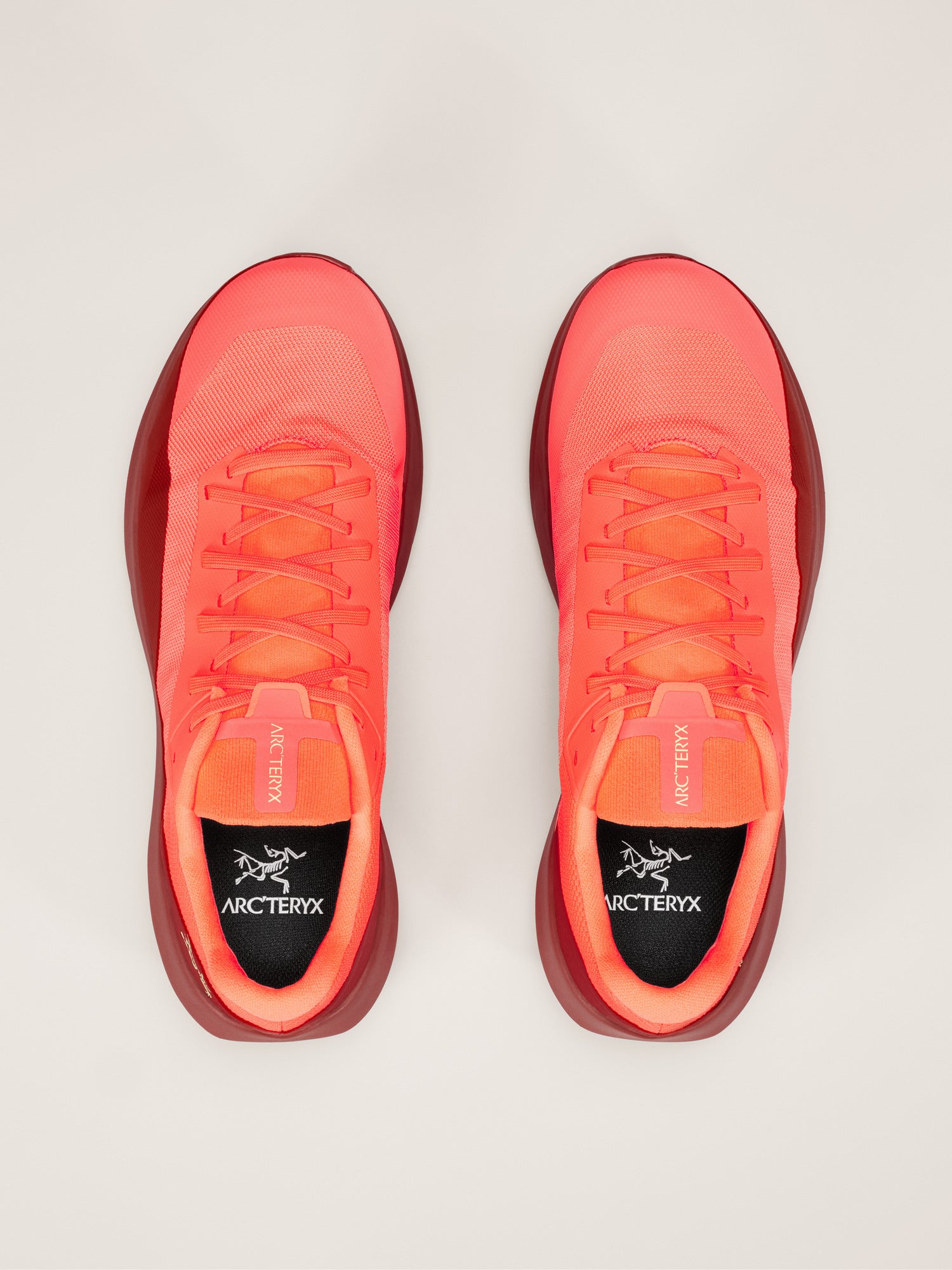 Norvan LD 4 Shoe Men's