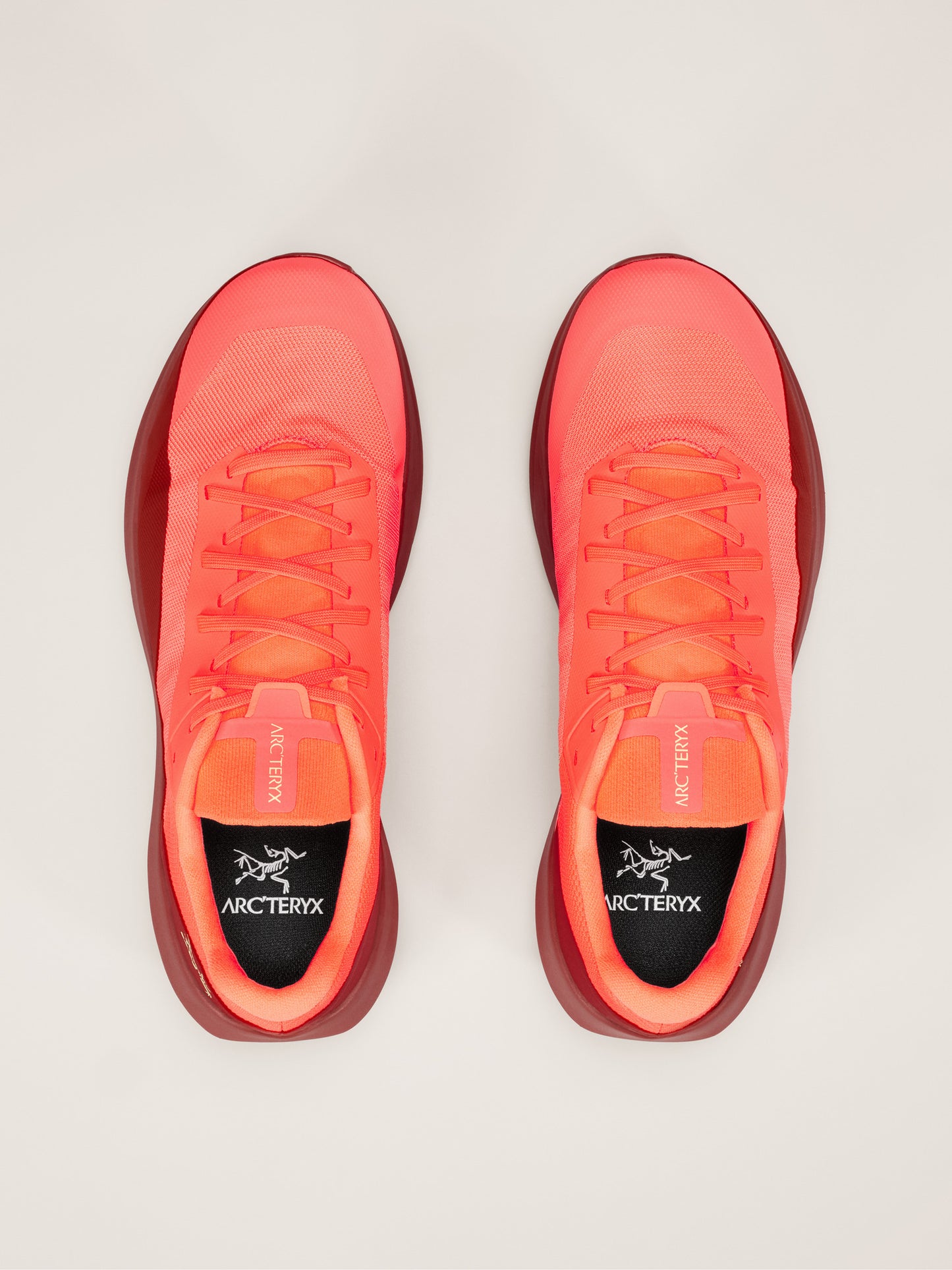 Norvan LD 4 Shoe Men's