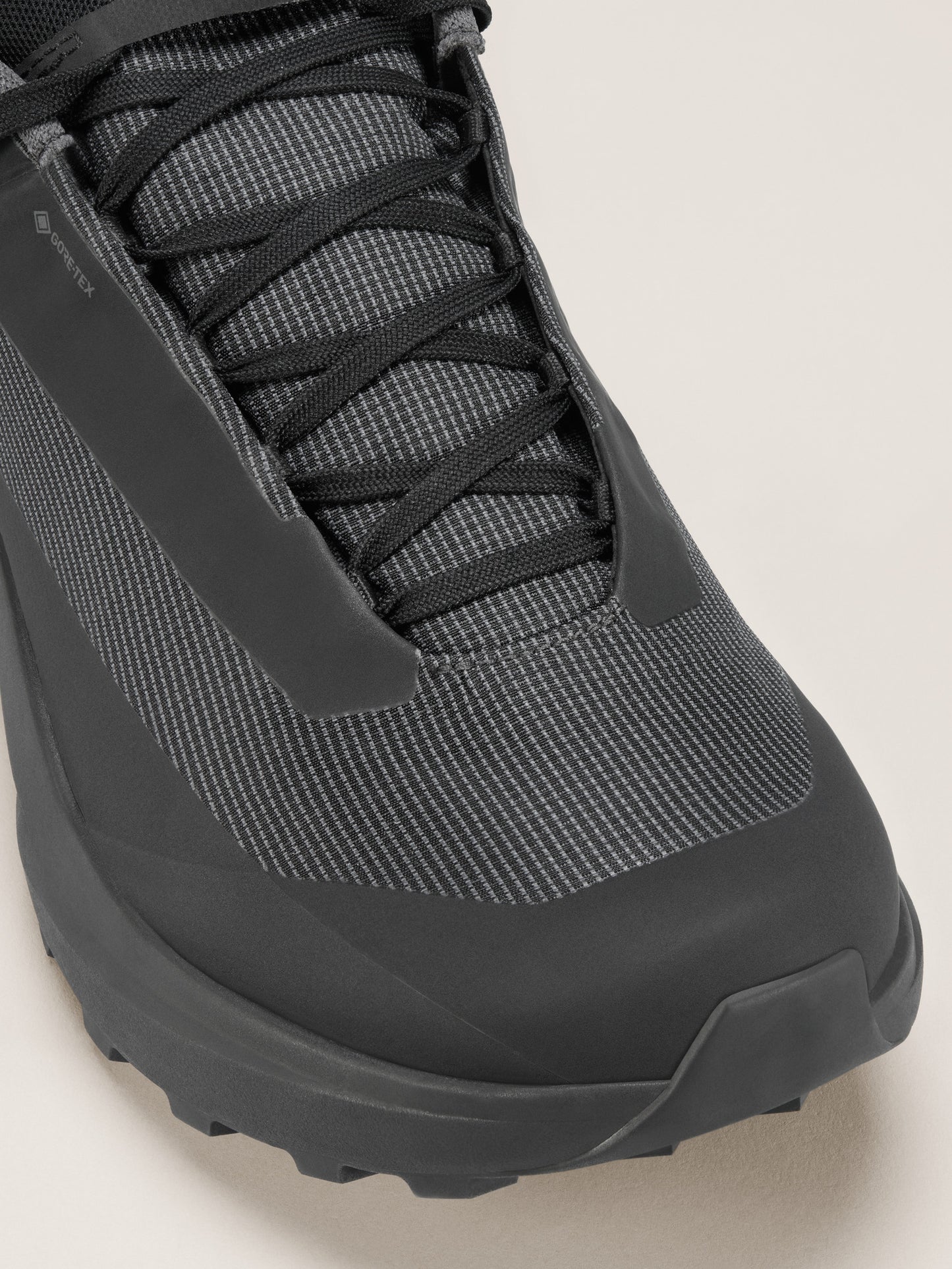 Norvan LD 4 GTX Shoe Women's