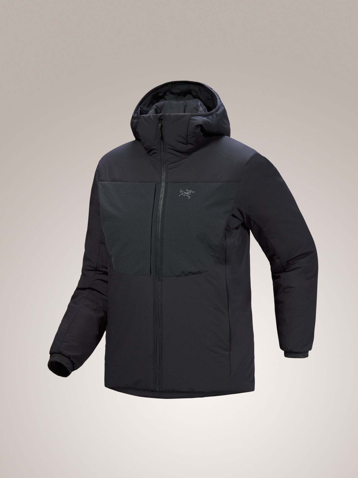 Proton Heavyweight Hoody Women's