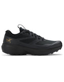 Norvan LD 3 Shoe Men's