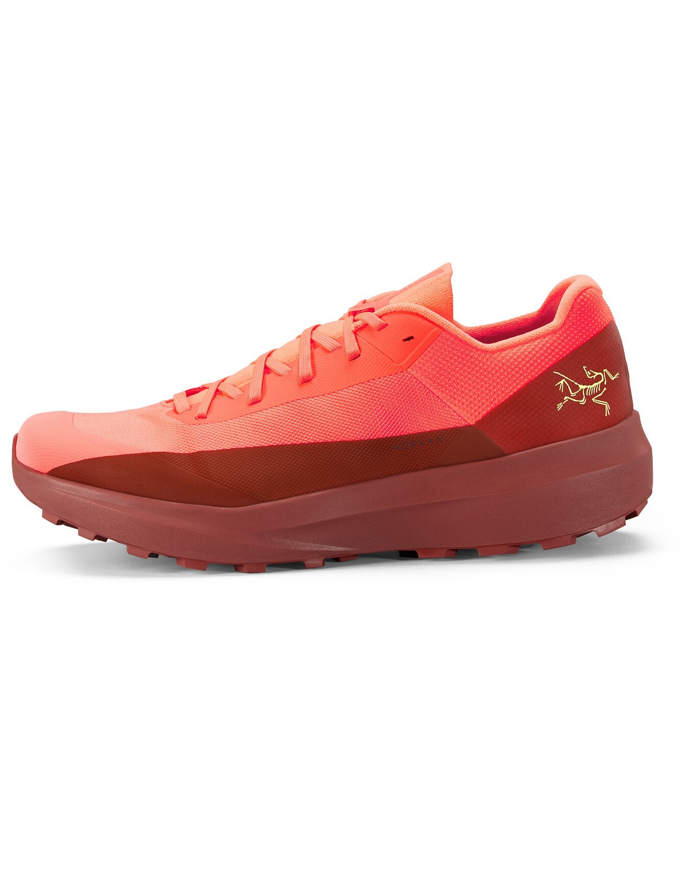 Norvan LD 4 Shoe Men's
