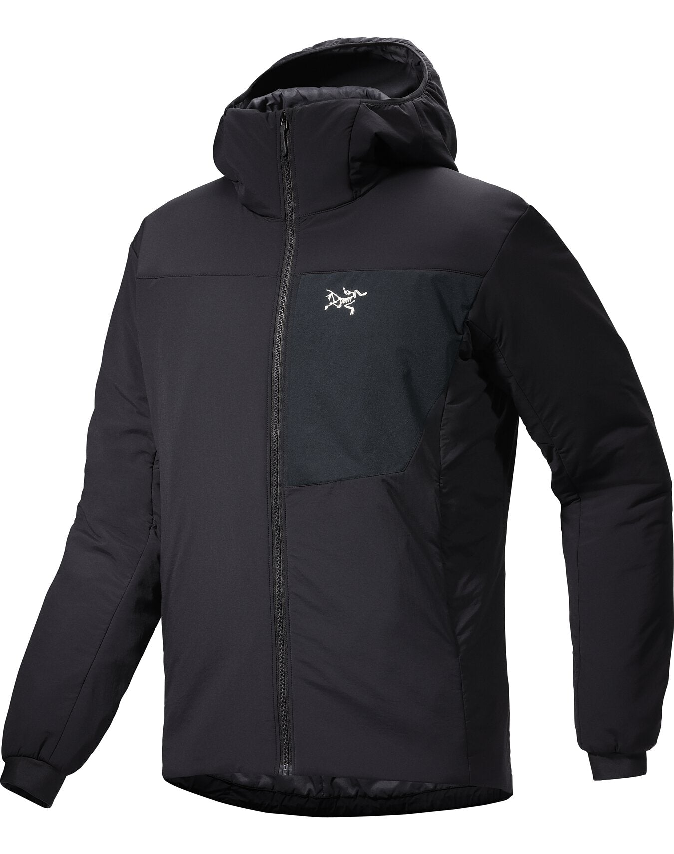 Proton Hoody Men's