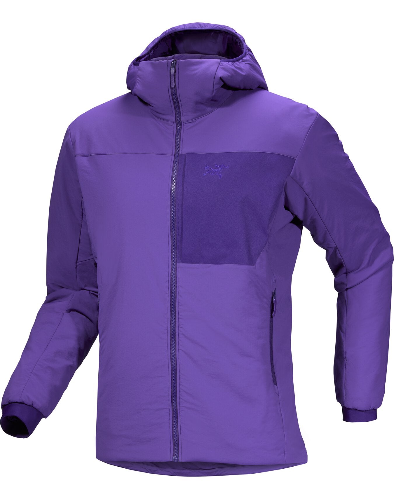 Proton Hoody Men's