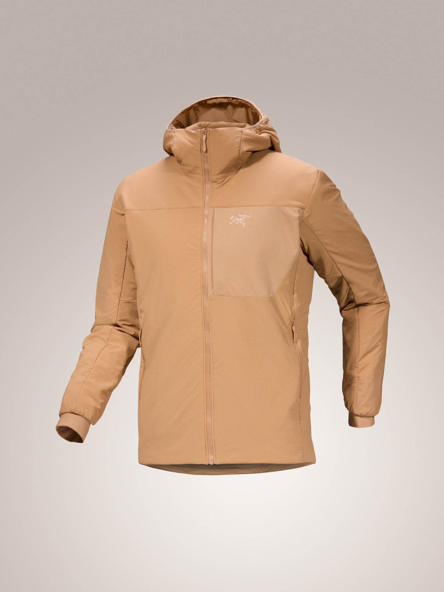 Proton Hoody Men's