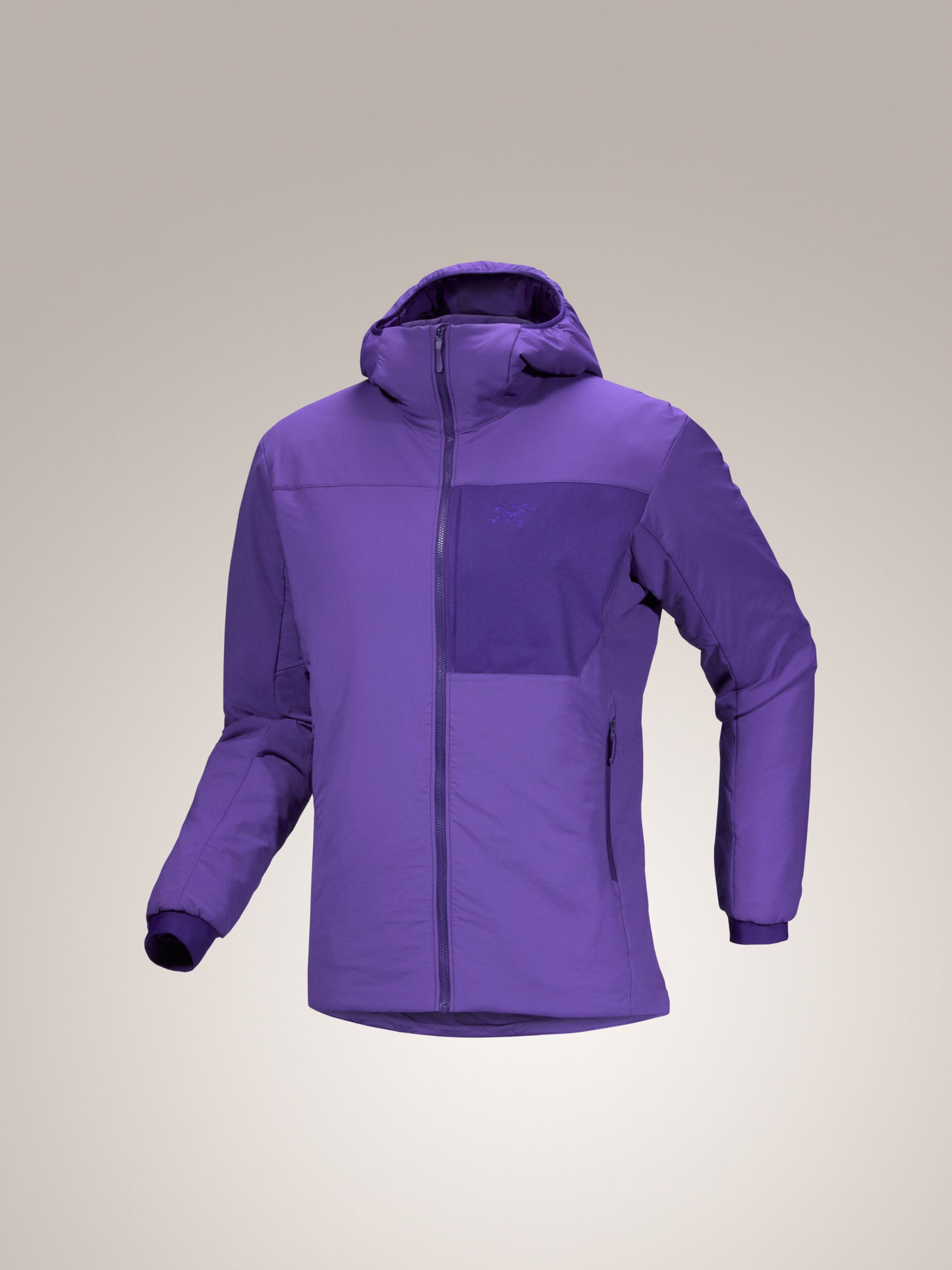 Proton Hoody Men's