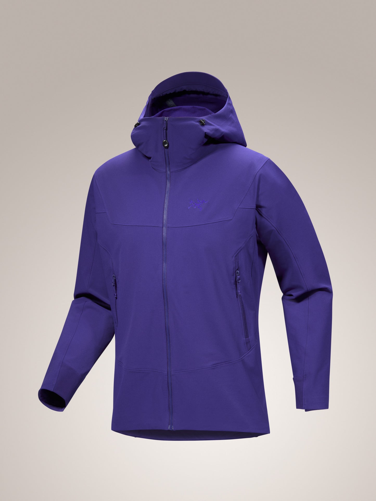 Gamma Hoody Men's