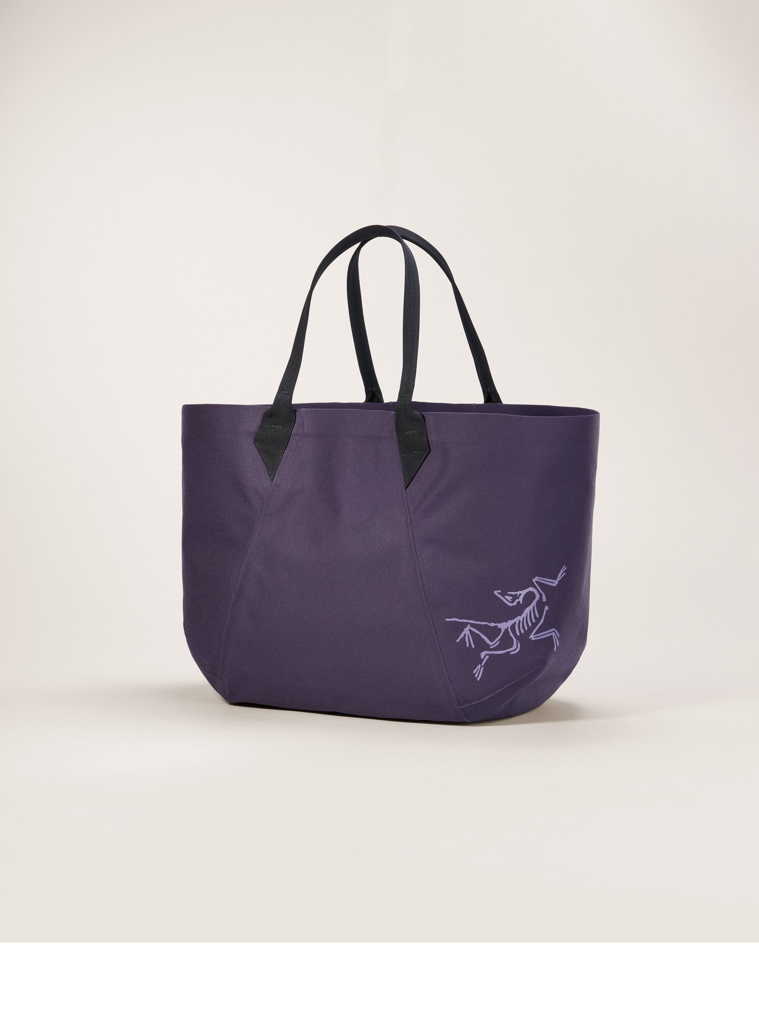 Carrier 45 Gear Tote