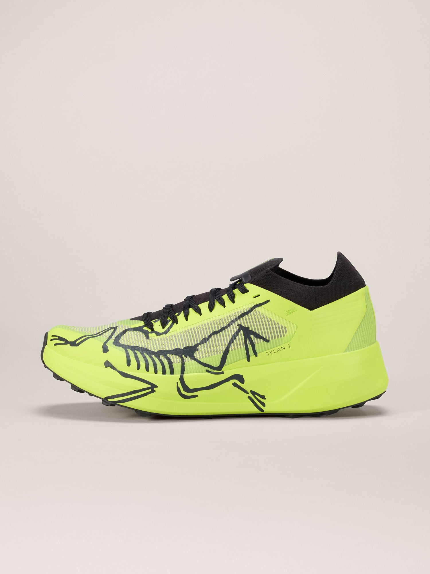 Sylan 2 Shoe Men's