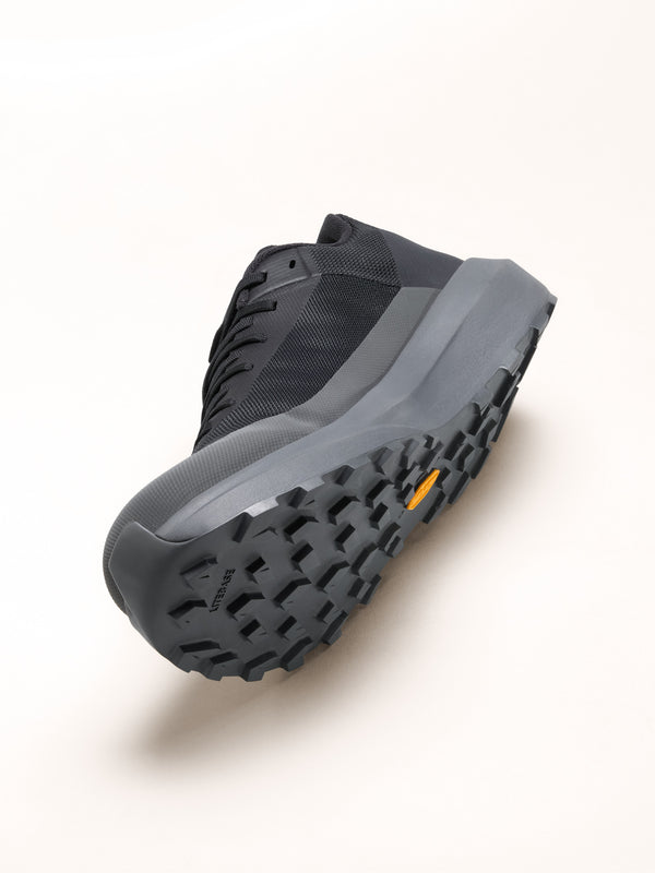 Norvan LD 4 Shoe Men's